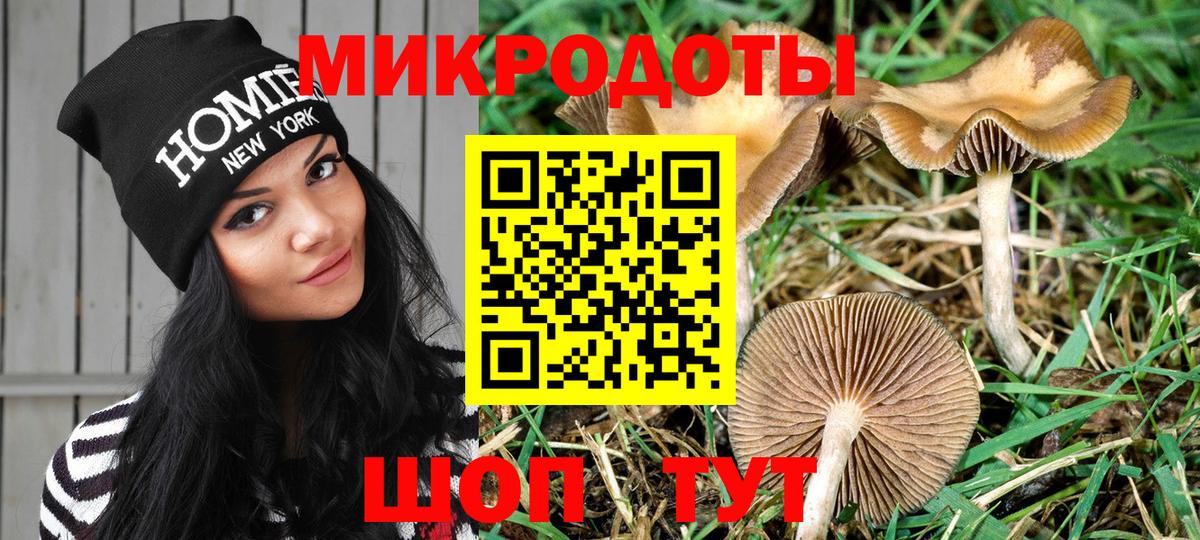 Коркино  Галлюциногенные грибы Psilocybine cubensis  Псилоцибиновые грибы GOLDEN TEACHER  хочу наркоту  Вход с VPN 